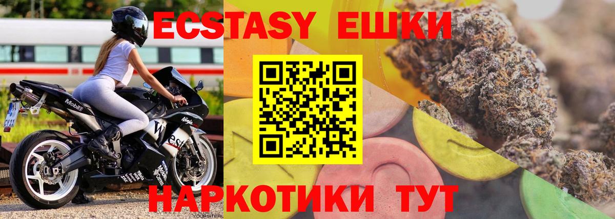 ЭКСТАЗИ TESLA  Вход с VPN  Елизово 