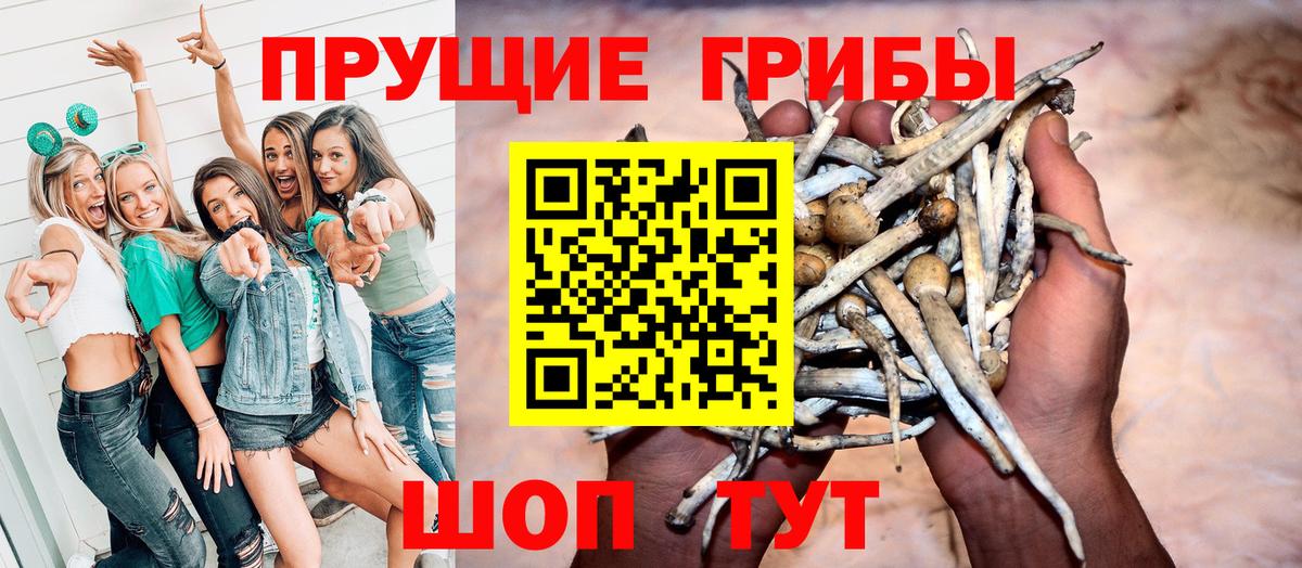  Cocaine Елизово