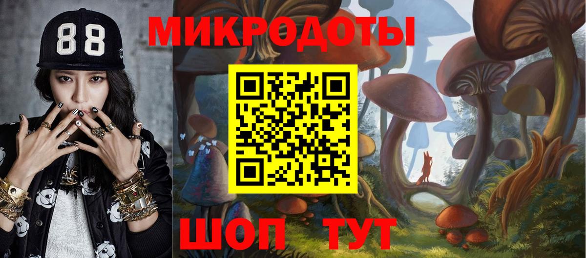 Галлюциногенные грибы ЛСД  Вход с VPN  Елизово 