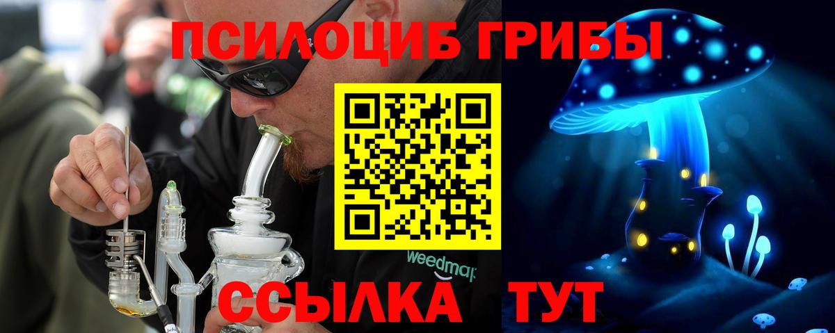 Псилоцибиновые грибы Cubensis Елизово